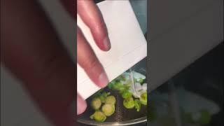 Рецепт как просто приготовить брюссельскую капусту !