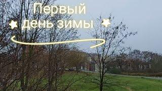 1 декабря - первый день зимы ...а снега нет?!..