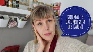 КОШМАР что едят Французы. Питание Француженки 80+. Современная Франция с Elena France