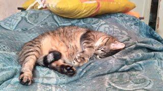 НОВЫЙ ГОД С АЛЕКСАНДРОМ КАДУБАСЕРОМ