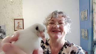 ЭТО РАСТОПИТ ВАШЕ СЕРДЦЕ . Почему Я не уехала из Киева. Как живет Киев. Война в УКРАИНЕ 2022