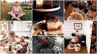 ЗАПУСК КОТЛА В ДОМЕ????ОСЕННИЕ ПОСАДКИ????СЕРВИРОВКА СТОЛА????ВАСИЛЁК????‍♀️СПОРТ????МУССОВЫЙ "БРАУН