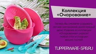 Коллекция ОЧАРОВАНИЕ  500мл, 1.1л , 2.5л , 4.3л, дуршлаг и салатная пара / www.tupperware-spb.ru