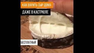 Учимся готовить мягкие сыры дома из магазинного молока