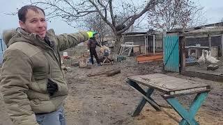 Влог из Деревни