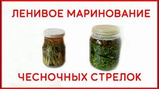 Ленивое маринование чесночных стрелок - Lazy pickling garlic arrows