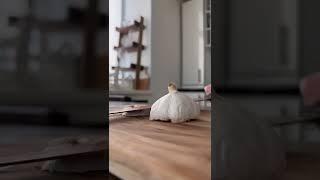 Чистим ЧЕСНОК правильно! #Shorts