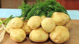 Вот что нужно ГОТОВИТЬ на УЖИН! Самый Простой и Вкусный рецепт!