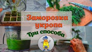 ЗАМОРОЗКА УКРОПА ТОП-3 способа | Как заморозить УКРОП НА ЗИМУ - в контейнере, кубиками, в свертке