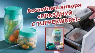 Ассамблея 3 недели (Новый год - Новое чудо)