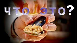 Гурманы Стамбула обожают блюдо, которое очень просто приготовить дома! Рассказывает Сталик Ханкишиев