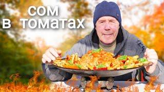ЖАРЕНЫЙ СОМ в ТОМАТАХ на САДЖЕ. ВСПОМИНАЕМ ЗАБЫТЫЕ РЕЦЕПТЫ.