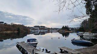 Позитивное видео из Норвегии: концерт, галерея, комиссионка , лазанья из сныти и желуди.