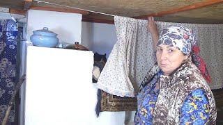 СПЛЕТНИ и НОВОСТИ