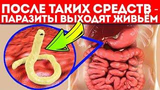 Вытрави их дома! Паразиты и глисты боятся комплексного подхода с этими рецептами