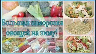 Большая заморозка овощей на зиму! Овощные полуфабрикаты! Как заморозить на зиму перец, лук порей...