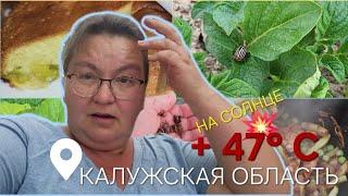 Большие потери птенчиков????/Погода взбесилась/Шарлотка с ревенём????/ОДНА В ДЕРЕВНЕ????????‍♀️