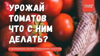 Консервация томатов на зиму: солёные помидоры, запечные помидоры, томатная паста в домашних условиях