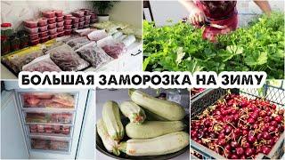 СЕЗОННАЯ ЗАМОРОЗКА НА ЗИМУ❄️ЯГОДЫ, ОВОЩИ, ЗЕЛЕНЬ????ЗАГОТОВКИ НА ЗИМУ????ЗАГОТОВКИ В МОРОЗИЛКУ????КА