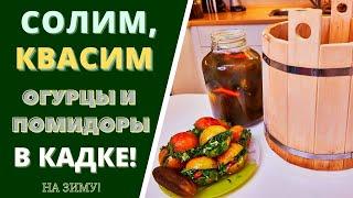 СОЛИМ И КВАСИМ ОГУРЦЫ И ПОМИДОРЫ БОЧКОВЫЕ: НА ЗИМУ!
