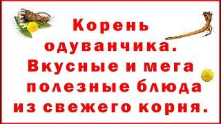 Корень одуванчика. Вкусные и мега полезные блюда из свежего корня.