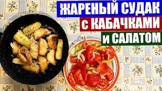 Полезный обед из судака с кабачками и салатом из свежих овощей
