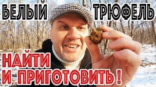 ГДЕ растет БЕЛЫЙ ТРЮФЕЛЬ? Охота на БЕЛЫЙ ТРЮФЕЛЬ с LAGOTTO ROMAGNOLO! Рецепт ТРЮФЕЛЬНОЙ ПАСТЫ!