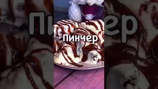 Торт "Пинчер"