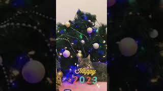 С Новым Годом 2023 #подборки