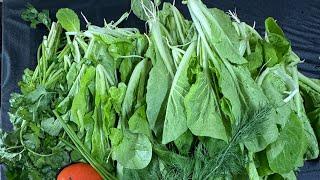 Что можно приготовить из этой травы?! Корейский холодный салат из «СИРЯГИ»(это корейское название)