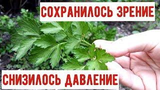 Сохранила ЗРЕНИЕ, снизила ДАВЛЕНИЕ, находка для СЕРДЦА и СОСУДОВ