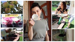 Отвезли Котят к Ветеринару - Наконец Посадили Пионы - Эгине -  Семейный Влог - Heghineh