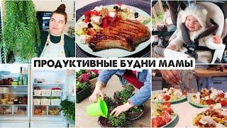 ОРГАНИЗУЮ ХРАНЕНИЕ В ХОЛОДИЛЬНИКЕ❄️САДОВЫЕ РАБОТЫ????????КЛАССНЫЕ ПОКУПКИ ИЗ ФИКС ПРАЙС????КРАСИВЫЙ 