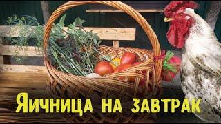 Яичница на завтрак. Домашняя кухня