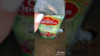 Шоколадный десерт простой рецепт #Shorts