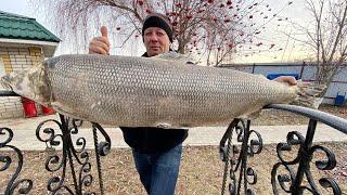 ЭТО ЛАКОМСТВО ТАЕТ ВО РТУ‼️Строганина из нельмы????Салат индигирка✔️рецепты на Новый год