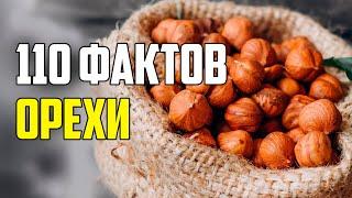 110 ИНТЕРЕСНЫХ ФАКТОВ ОБ ОРЕХАХ