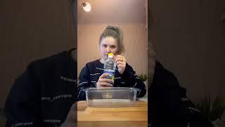 Запечённые пельмени ???? под сыром!! Как вкусно приготовить пельмени? РЕЦЕПТ.