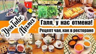 ВАУ! ????ПРЕОБРАЖЕНИЕ ДВОРА ????◾ НОВОЕ ДОРОГОЕ ХОББИ ????????◾ КУПИЛА СЕМЕНА ????◾ ЗАГОТОВКИ ДЛЯ ЧА