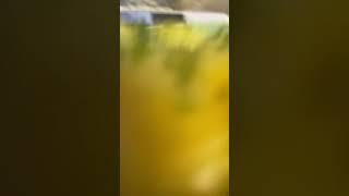 УСТРОИЛА ПОЖАР В НОВЫЙ ГОД??!