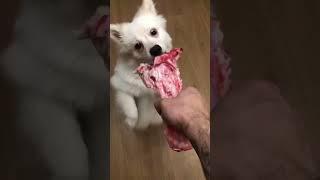 Лучший рецепт свиной рульки