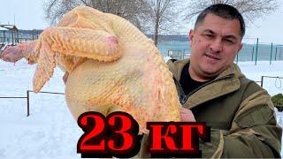 БЛЮДО ПОКОРИВШЕЕ МИЛЛИОНЫ ЛЮДЕЙ! Рецепт приготовления Индейки. ENG.SUB