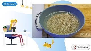 Суп Уха из семги. Что приготовить рецепты с фото