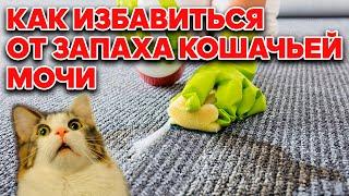 ДАВНО ЭТО СРЕДСТВО ИСКАЛА ИЗБАВЛЯЕТ ОТ ЗАПАХОВ В СЧИТАННЫЕ МИНУТЫ @Обо всем с Марусей
