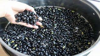黑豆蒸法，頭髮健康，睡眠改善，簡單有效，【麗麗廚房】，#黑豆的做法，黑豆料理，#黑豆食譜，#家常菜，#美食，#cooking，#food，#Recipe，#快速營養的黑豆蒸法，#恢復活力的頭髮舒適睡眠