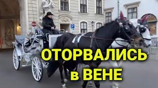 Новогодняя Вена| море развлечений 31.12.2022