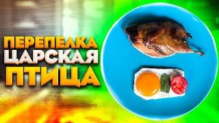 Как приготовить перепелки в духовке. Рецепт перепелки в домашних условиях