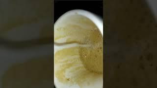 MAKING COFFEE ☕ IN 1 RS