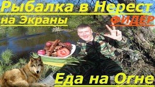 Рыбалка в Нерест? Фидер и Экраны. Рулетики в Беконе #выживание