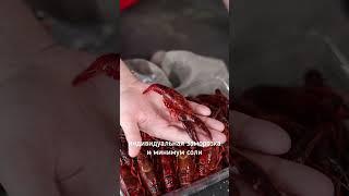 Раки! Их не нужно варить они уже готовы! #тренды #реки #food #рецепт #life